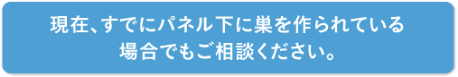 現在、すでにパネル下に巣を作られている場合でもご相談ください。